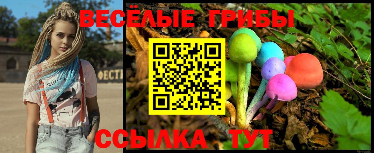Псилоцибиновые грибы прущие грибы  Галлюциногенные грибы мицелий  закладки  Нурлат  Вход с VPN 