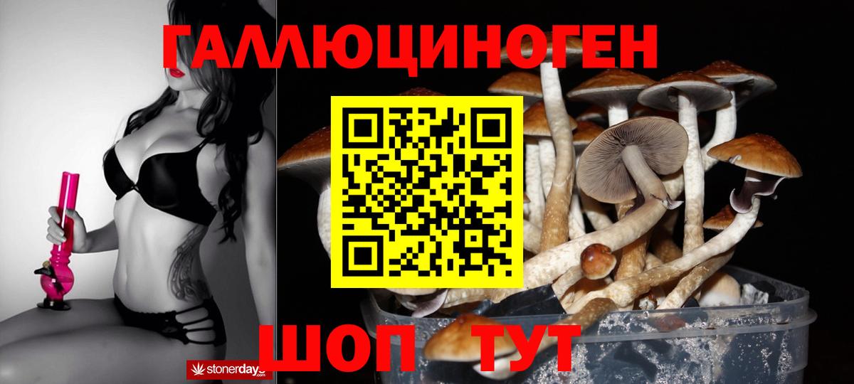 Псилоцибиновые грибы Magic Shrooms Нурлат